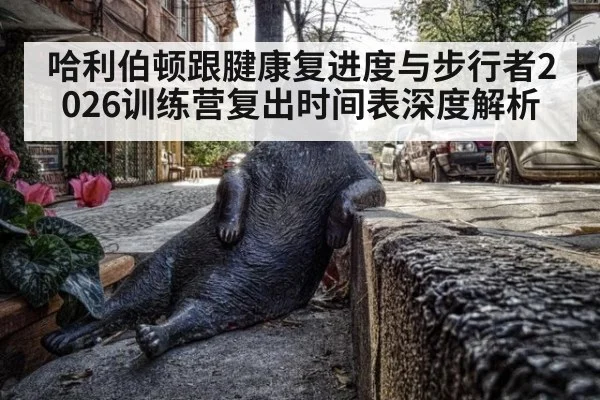 哈利伯顿跟腱康复进度与步行者2026训练营复出时间表深度解析